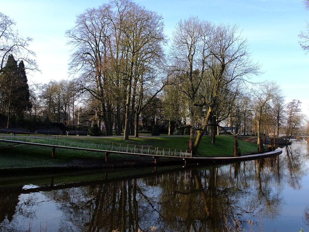 De vijver in Park Valkenberg in Breda met bomen en een blauwe lucht