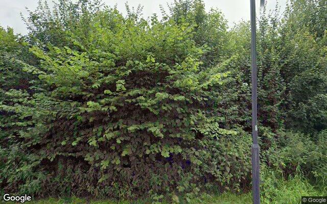 Speeltuin Achtererf