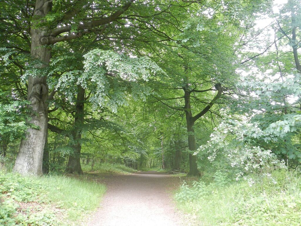 Salonbibliotheek: Mens en Natuur in Breda