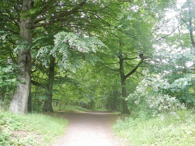 Salonbibliotheek: Mens en Natuur — Natuur in Breda